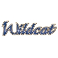 08 Wildcat